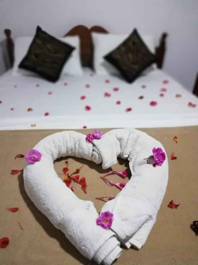 Dream Hill Homestay نوفارا إيلِيا المظهر الخارجي الصورة