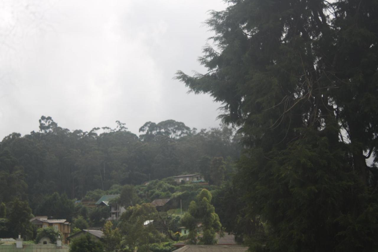 Dream Hill Homestay نوفارا إيلِيا المظهر الخارجي الصورة