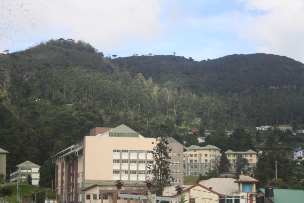 Dream Hill Homestay نوفارا إيلِيا المظهر الخارجي الصورة