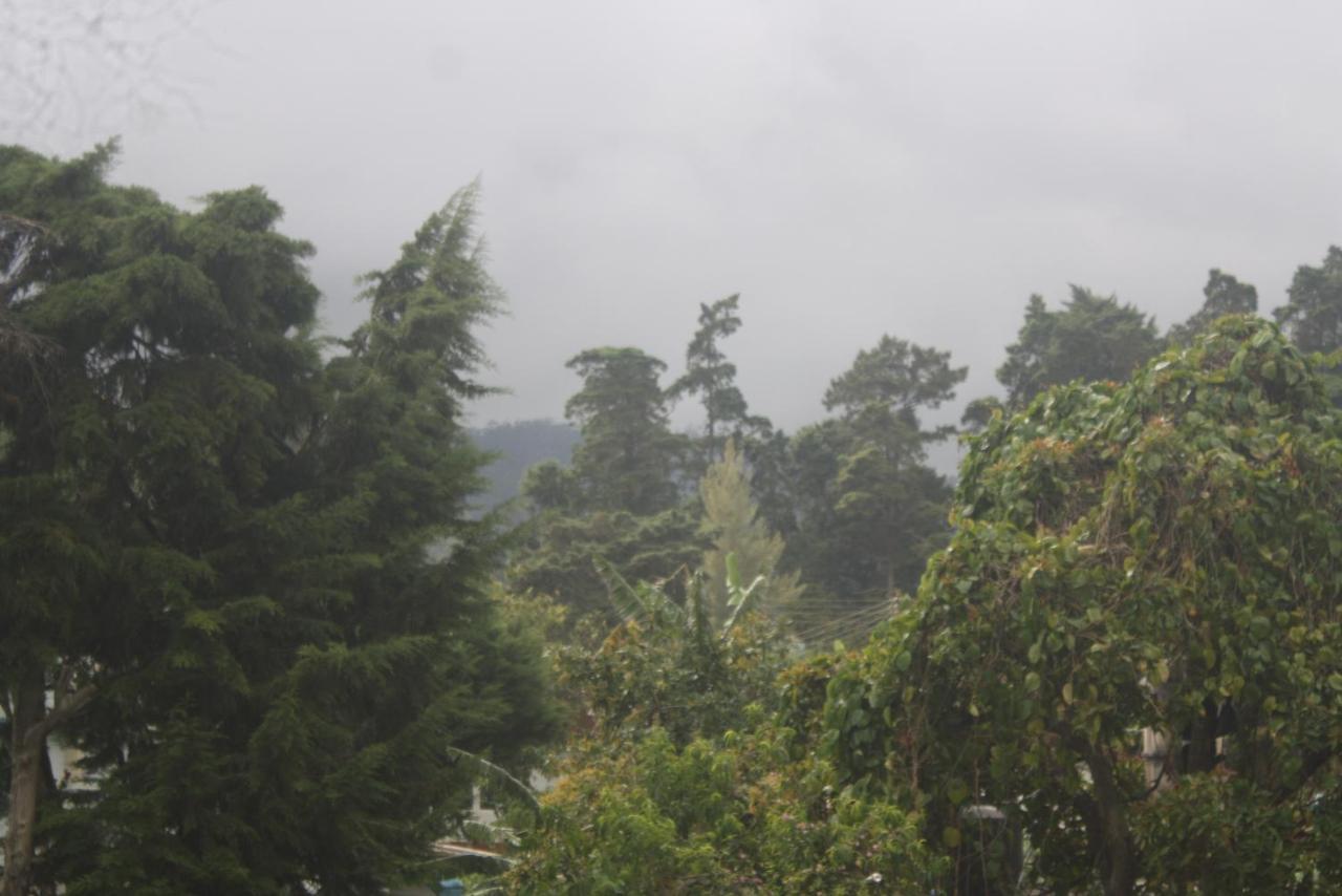 Dream Hill Homestay نوفارا إيلِيا المظهر الخارجي الصورة